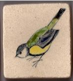 bluetit2