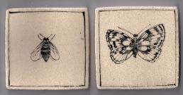 butteryflyfly