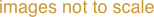 images not to scale