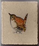 wren
